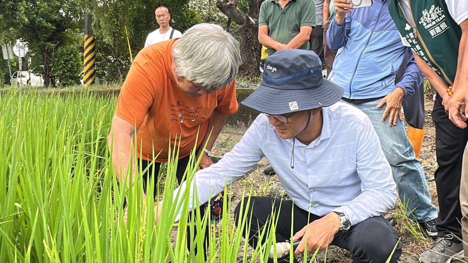 薔琵颱風重創雲林農田！劉建國急會勘　農糧署承諾加速救助
